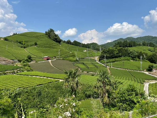 204588462_2946019079059950_3142319782997368412_n