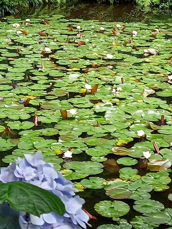 208642358_1973138329528286_692712301116479042_n