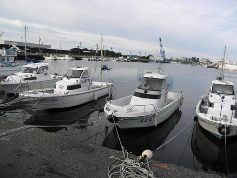 11696530_450659645113327_6245396910387789711_o