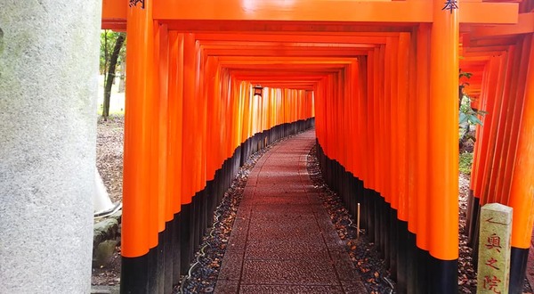 209113395_553126669184787_2275053022845640001_n