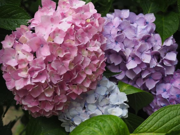 207086648_2944514945877030_7388271086137709141_n