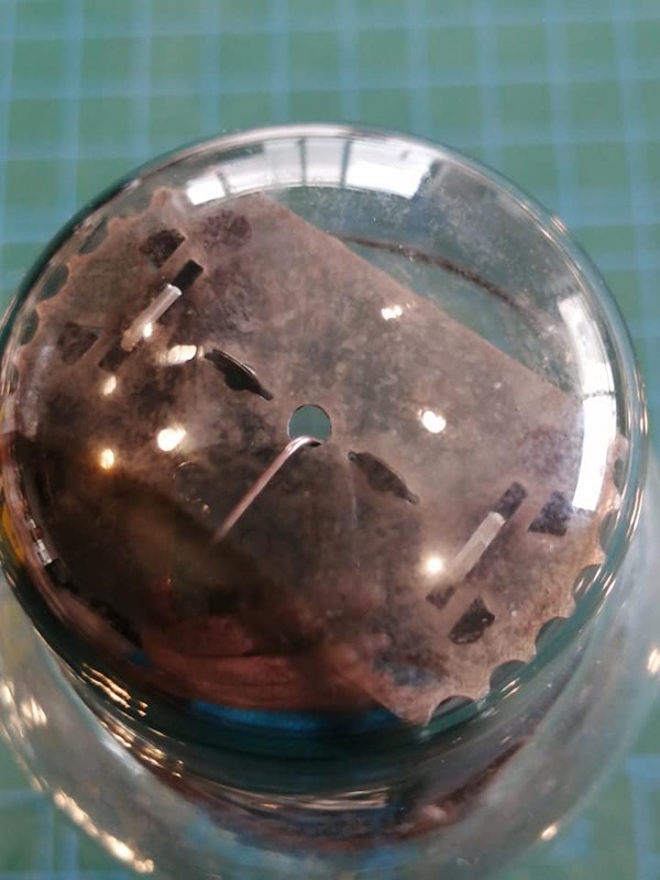 209046220_5757893924281555_8567710565726332263_n