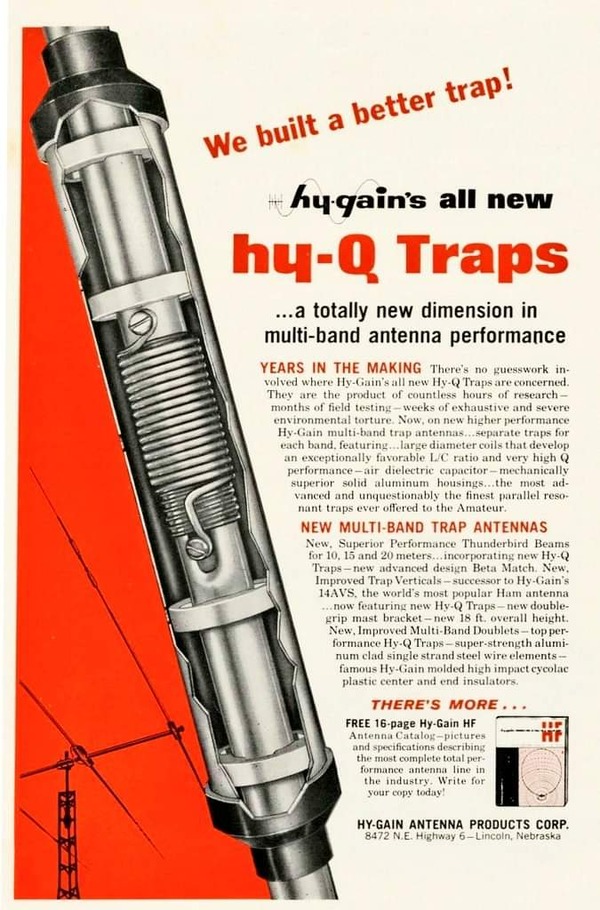 FB_IMG_1700425188498