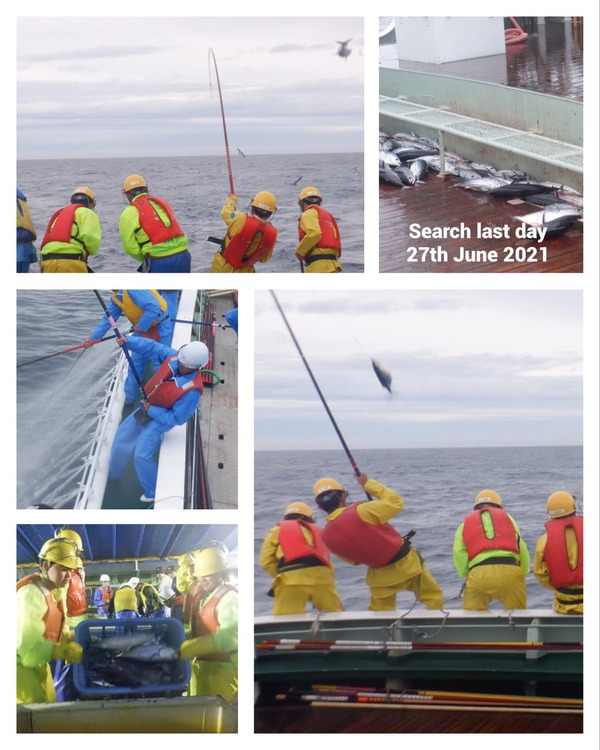 209530902_1020206085463148_2370705364123202398_n