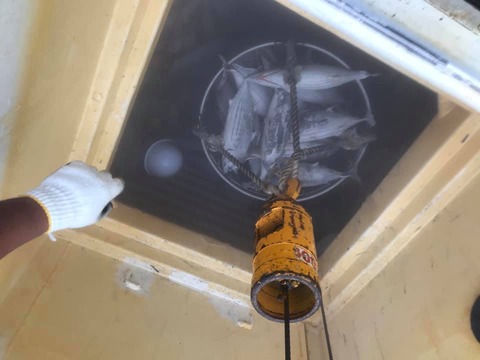 106564220_771313497019076_4125273612731431171_n