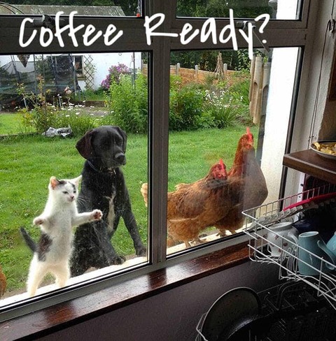 168398170_4587166997965351_4272805426089700186_n