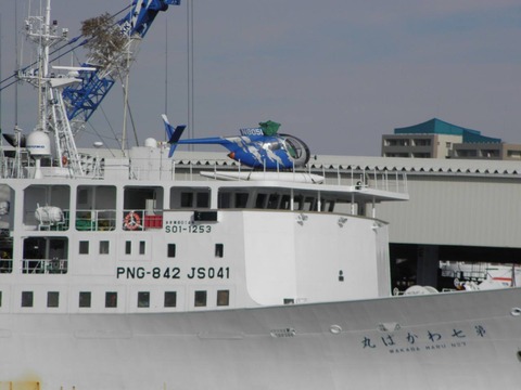 11700903_450659758446649_3046180370541249628_o