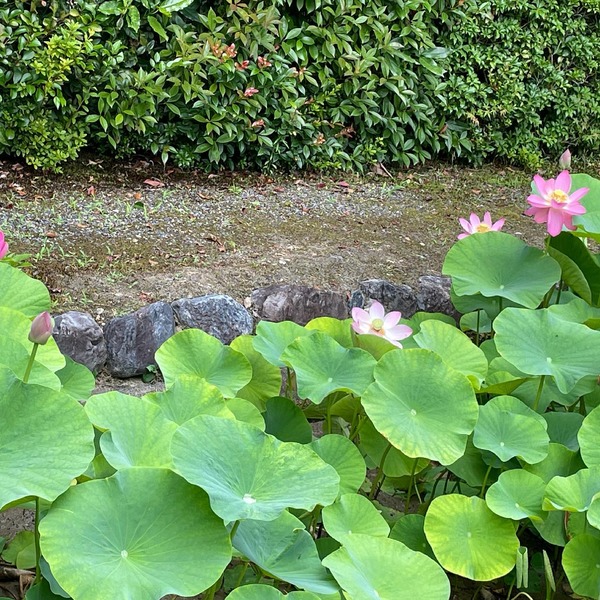 208935576_2798706210440368_7895032043963482263_n