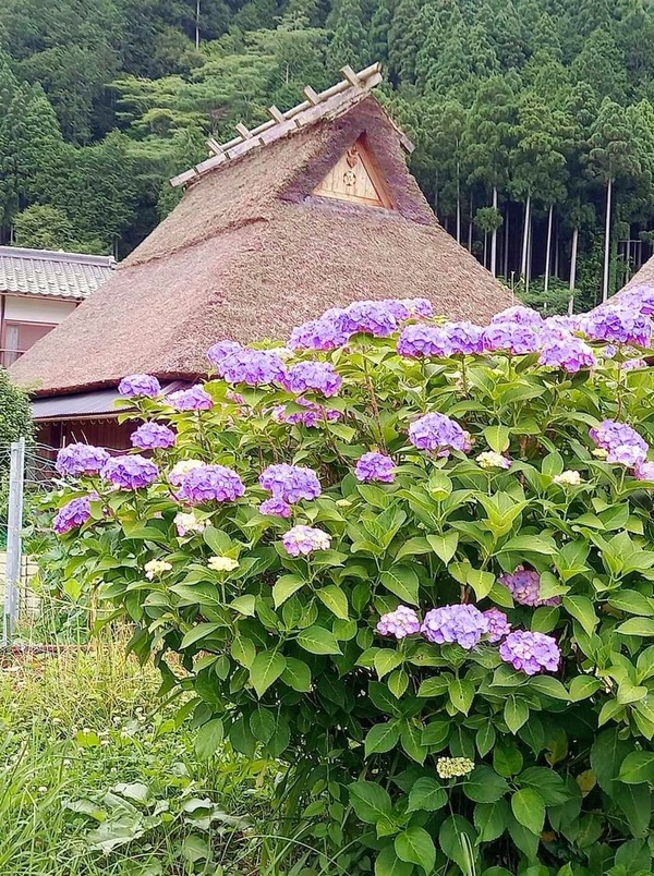 208784039_155144670012155_5011615906931844747_n