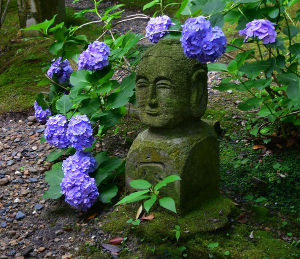 204319444_3768017613422714_4254186393801298678_n