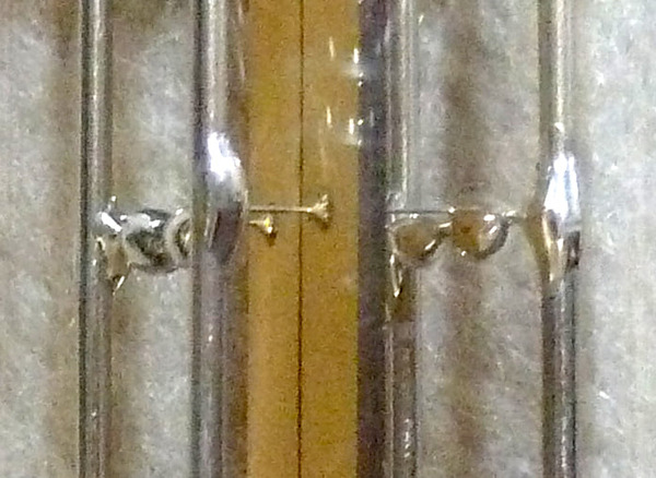 241525782_4406206496133992_5833714077861220300_n