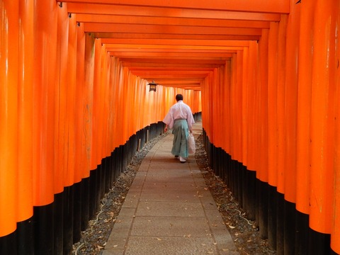 188745755_479740016579259_3876623777103418897_n