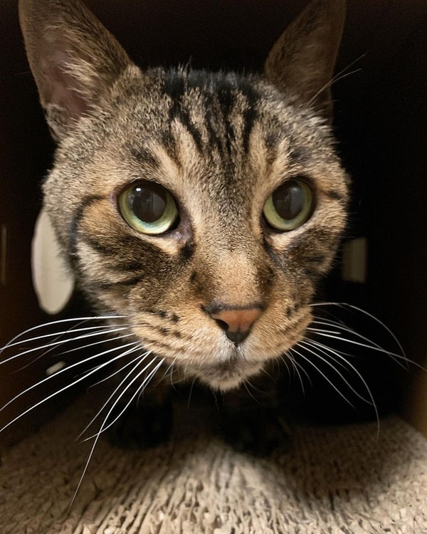 206679880_5955849804457571_2959757620766055812_n