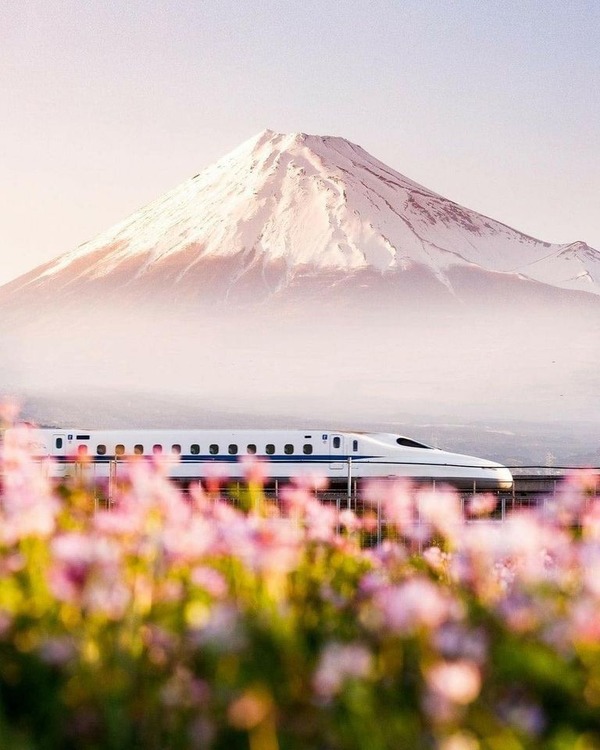 204567154_342632520566090_9000767796226330727_n