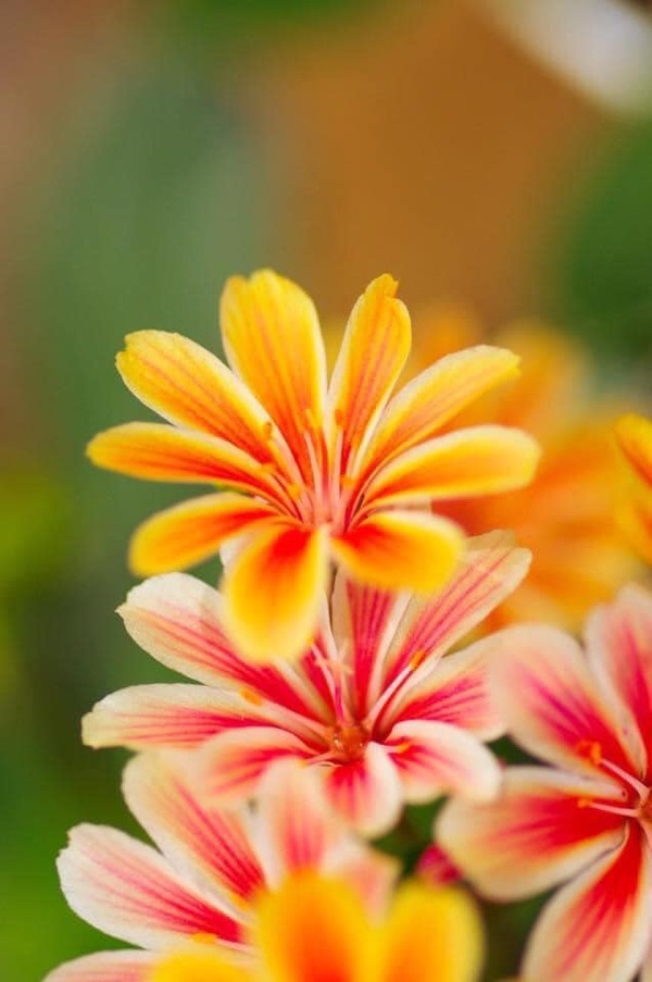 203882451_3858184577624469_3217003474061525940_n