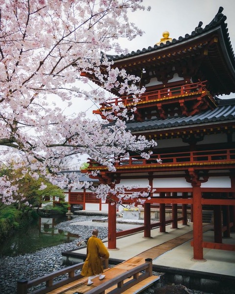 165673231_895750954543129_8855146473423954318_n