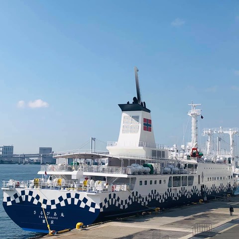 184924372_4027988477257954_2361777251323377064_n