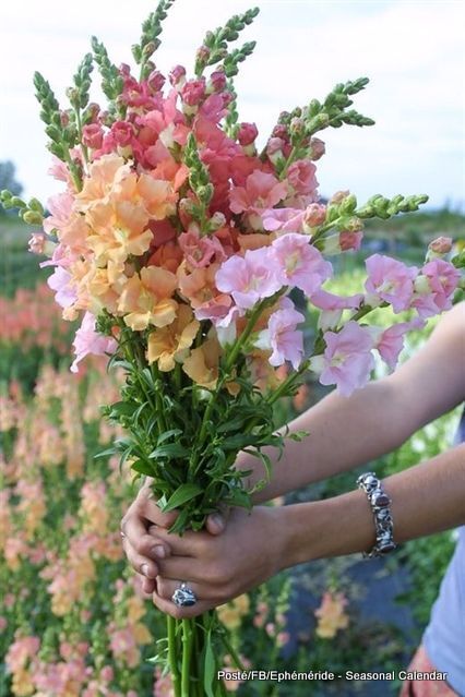 207616070_4358206114229451_4396946651288213790_n