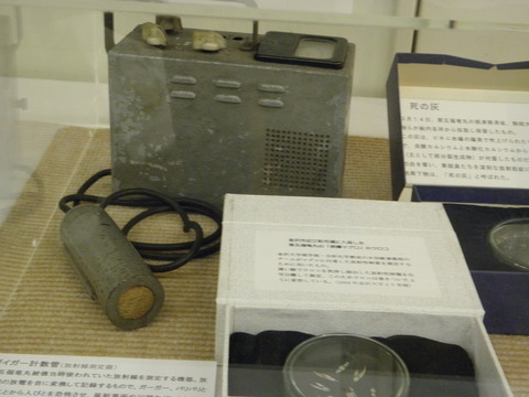P8128748