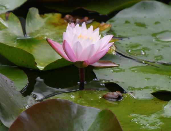 205712525_3768017370089405_7426074651881480808_n