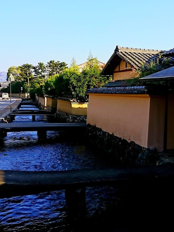 208303860_5694238300650649_8107957189790725535_n