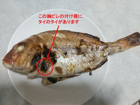 183667594_1445047995832102_4005642737709726020_n