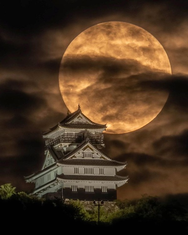 208367042_327913665717513_3451548246963229574_n