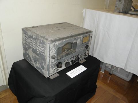 P8128746