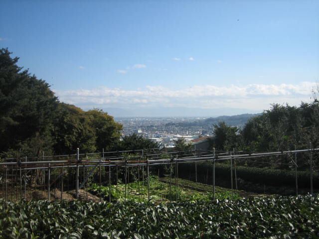 イメージ 16