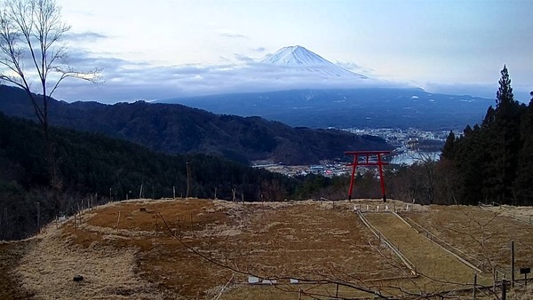cam1_4984 (2)
