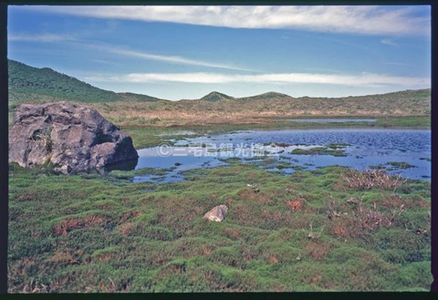 186022835_3970914119628603_3159857221201510455_n