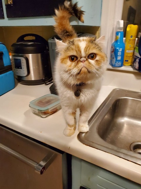 189781692_319209813104022_5768282703853769571_n