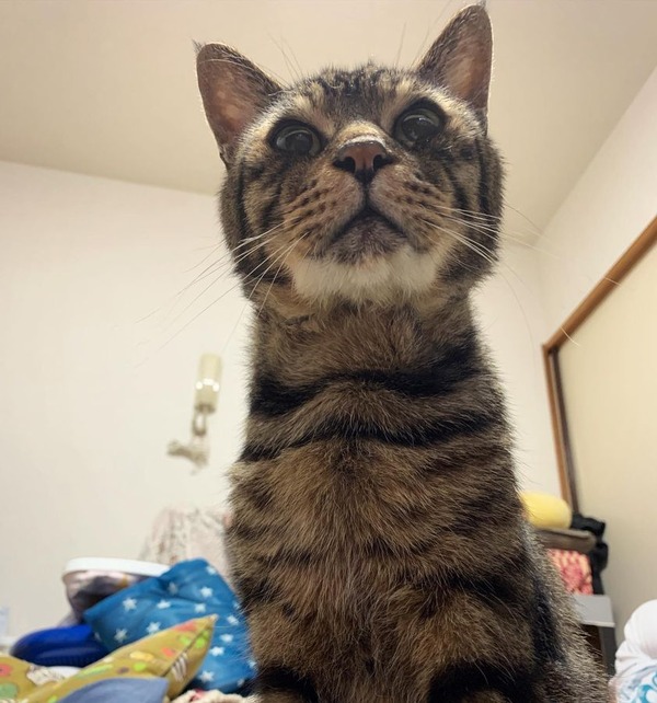 206647345_5936155249760360_7448574063667922527_n