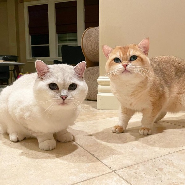 202131481_349943246490255_7108343447985871484_n