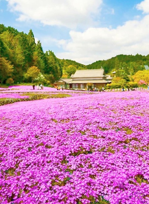 187133468_1802710309907089_5743621394308768194_n