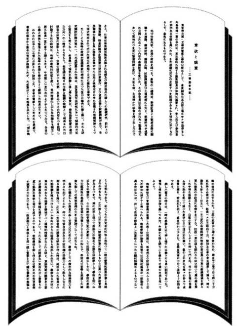 p19fuzokushiryo1-1