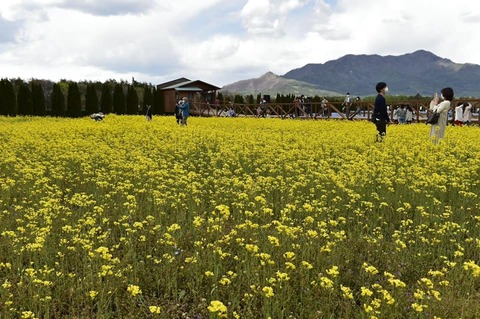 183484046_3643152445796452_5205848175555539594_n