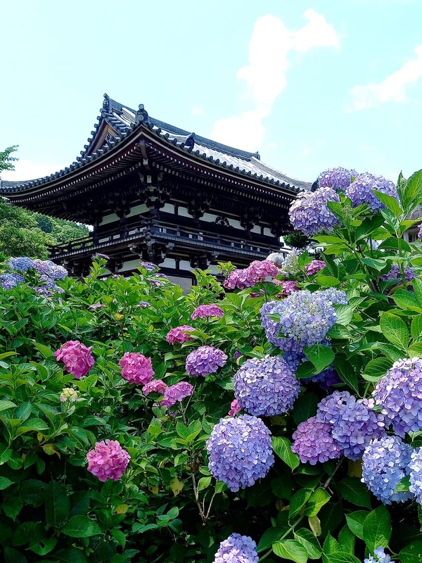 204801098_155838043276151_9010831942374937097_n