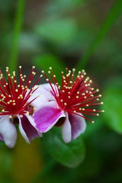 206607303_4398699786808783_6396564744985750731_n