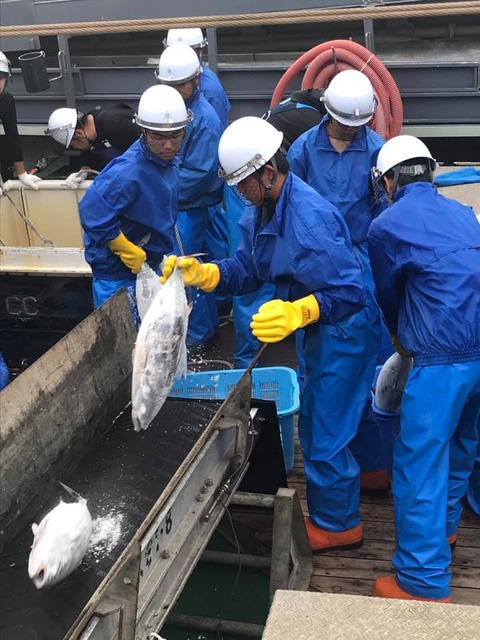 116253694_795867147897044_4319601494676196948_n