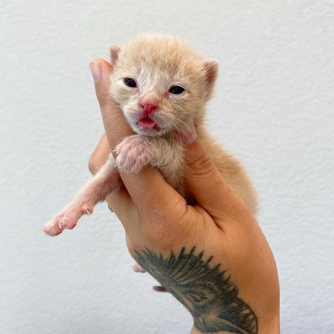 183295496_313515066810185_30629762685070485_n