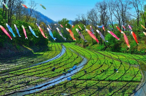 184773249_4467857796577042_6428787035593205525_n