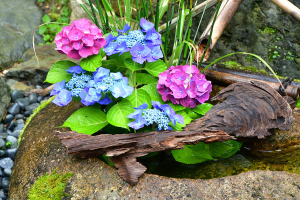 207929007_3767122120178930_7611883938396654409_n