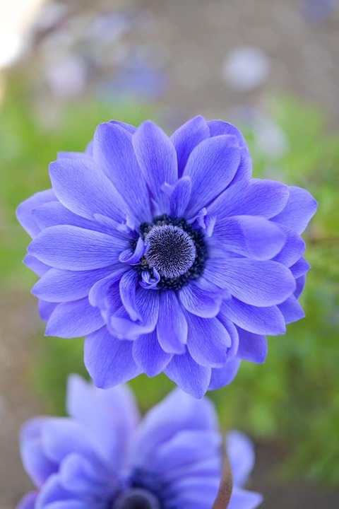 183367208_3717712781671650_5070253570590199285_n