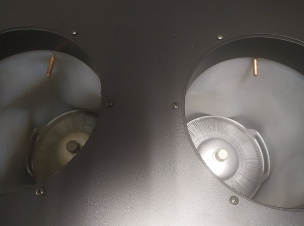 205668196_1468039396902719_808632984495438647_n