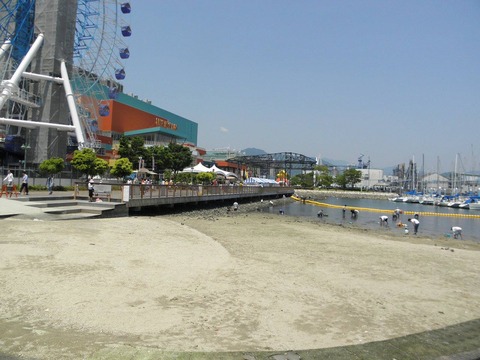 13235144_575075172671773_5487106995228646749_o