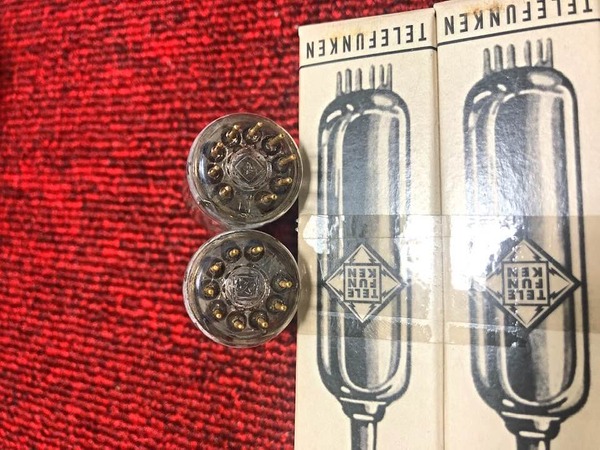 273159877_5173558709378328_4376942340926263836_n