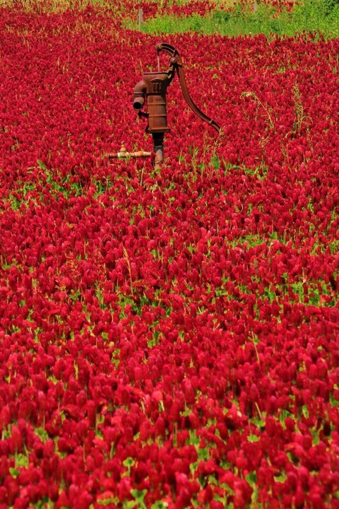 187117984_4507026315993523_3987061171406526485_n