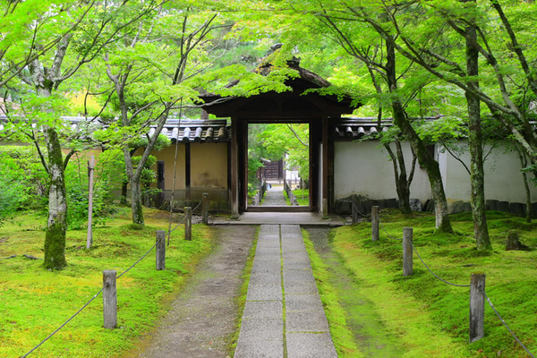 206488093_3768017563422719_2277376745974773394_n