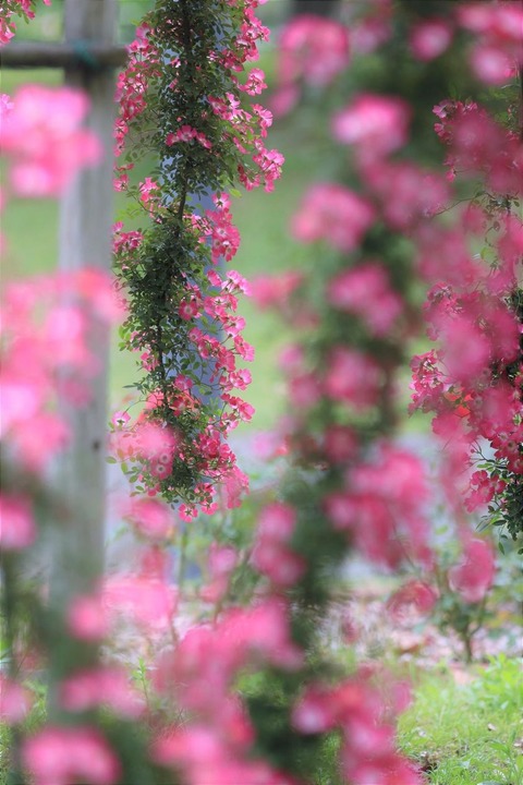 185291481_4490248881004600_8076499245856359885_n